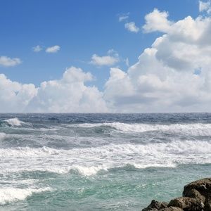 Meet your Posher, Minnie